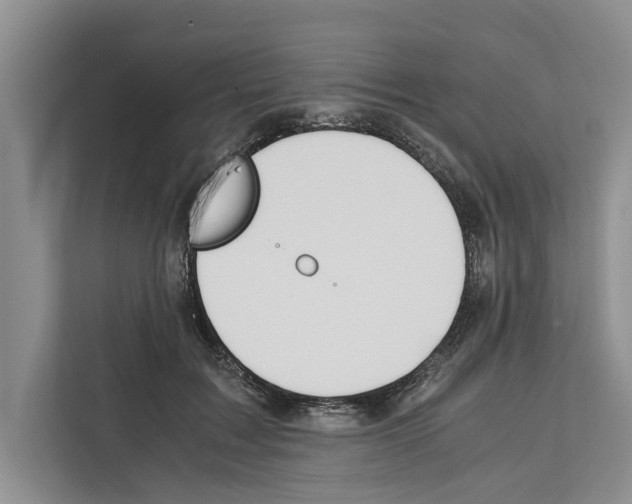 X0000111650603200908281051