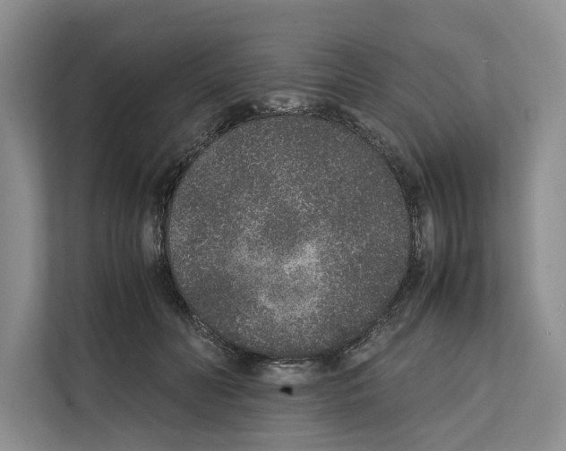 X0000111650606200908281050