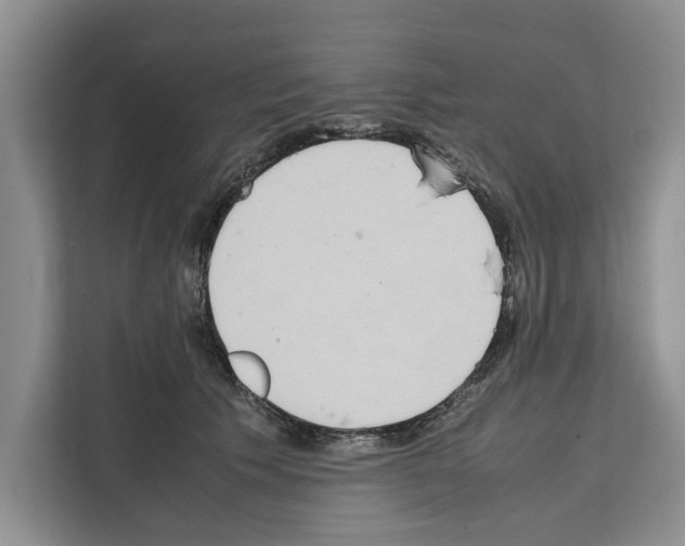 X0000111650609200908281050