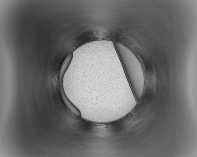 X0000111650611200908281050