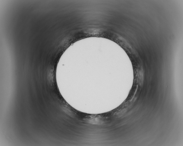 X0000111650612200908281050