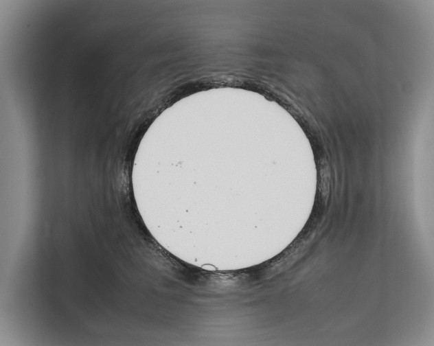 X0000111650613200908281050