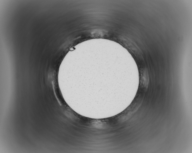 X0000111650616200908281050
