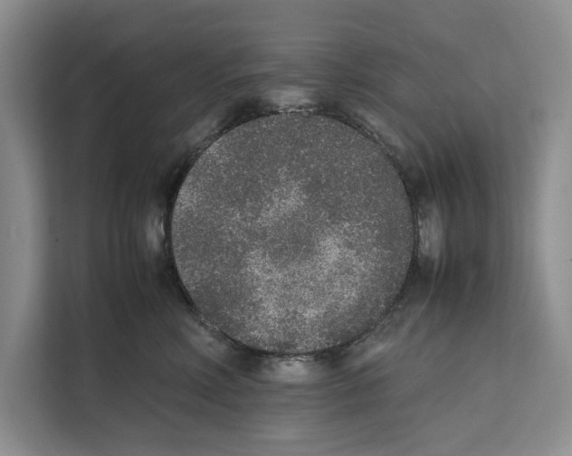 X0000111650618200908281050