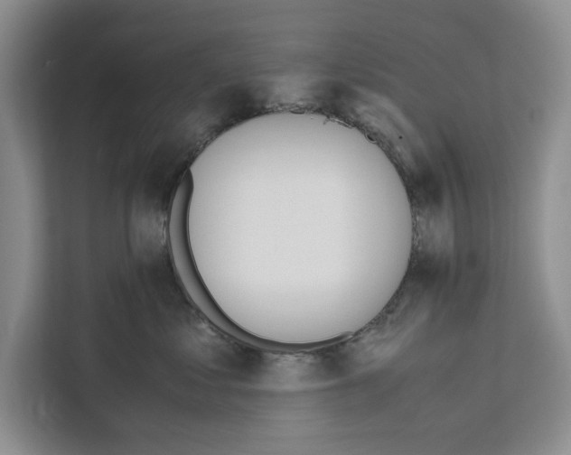 X0000111650621200908281050