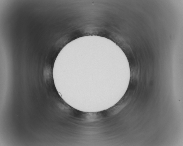 X0000111650623200908281050