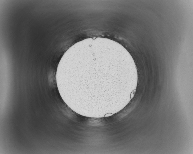 X0000111650624200908281050