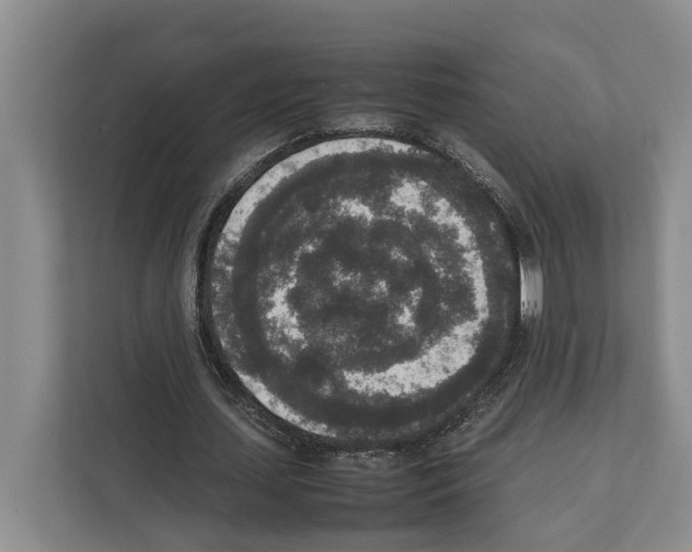 X0000111650627200908281050