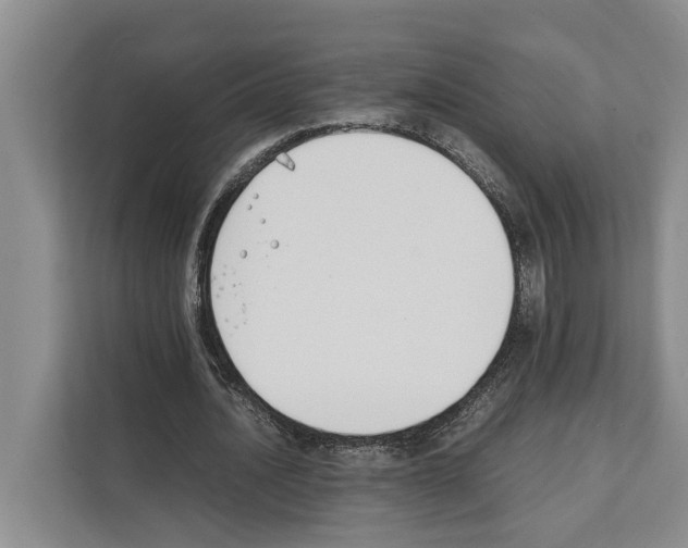 X0000111650628200908281050
