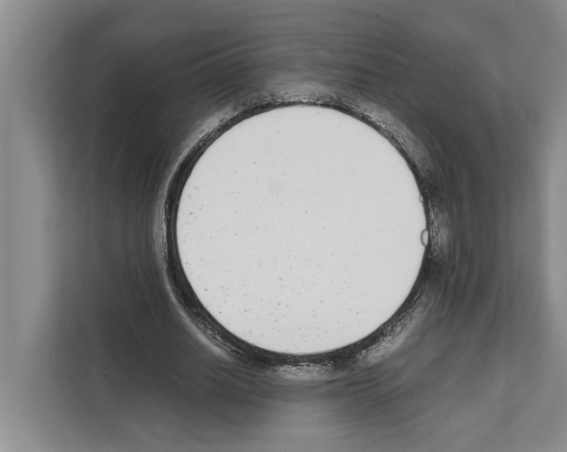X0000111650630200908281050