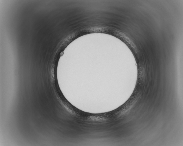 X0000111650633200908281050