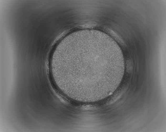 X0000111650634200908281050