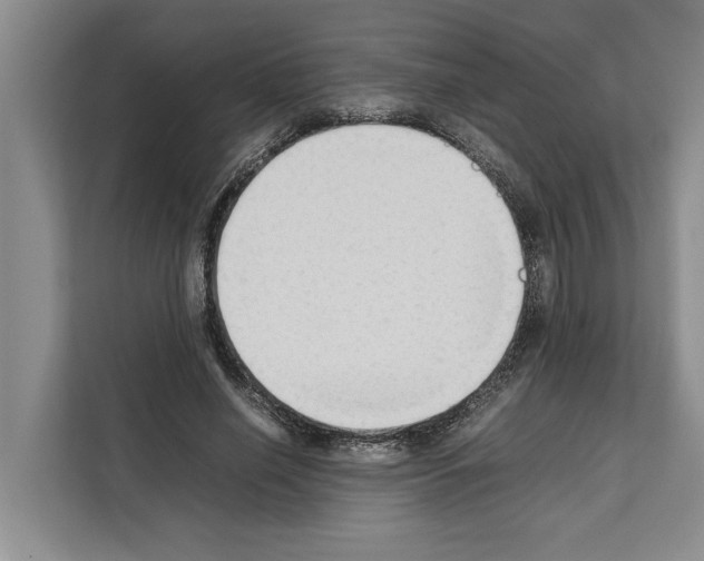 X0000111650638200908281050
