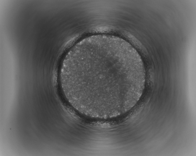 X0000111650640200908281050