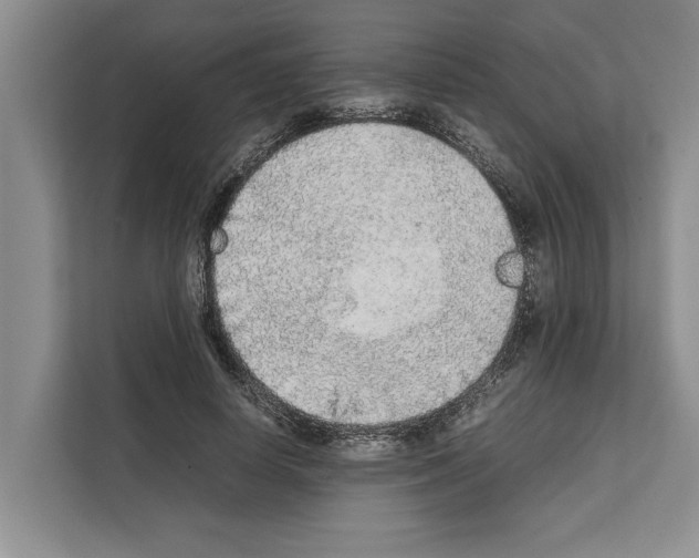 X0000111650642200908281050