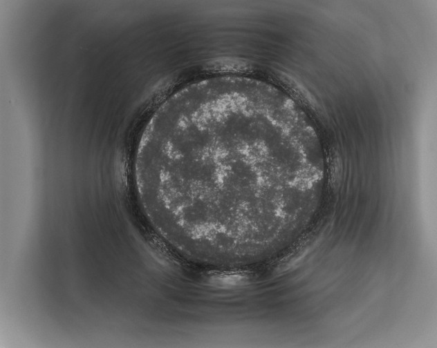 X0000111650643200908281050