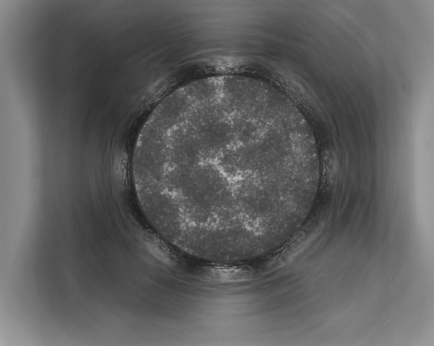 X0000111650650200908281050