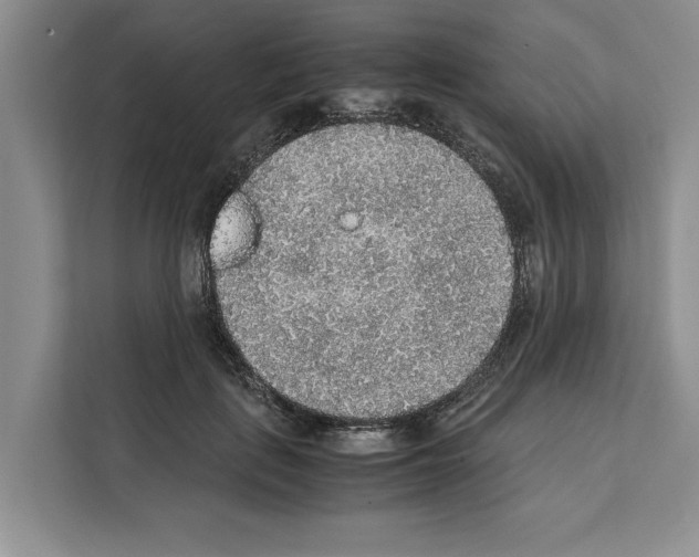 X0000111650651200908281050
