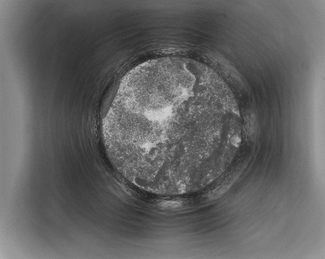 X0000111650653200908281050