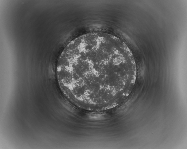 X0000111650661200908281050