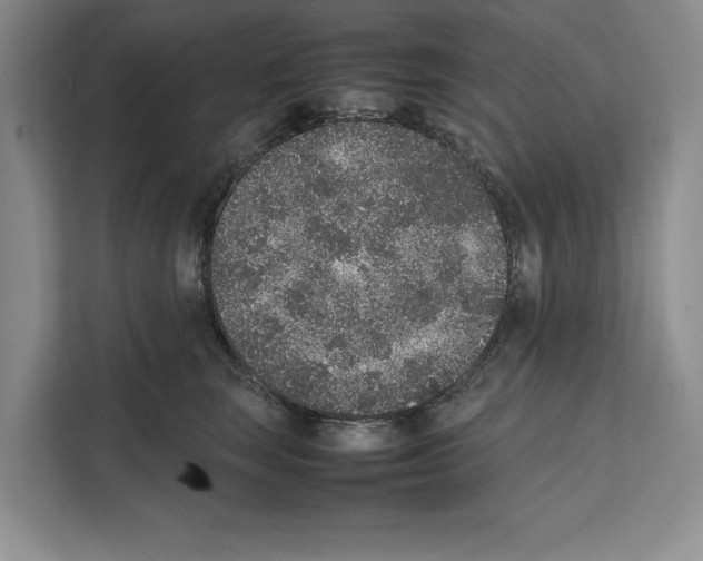 X0000111650663200908281050