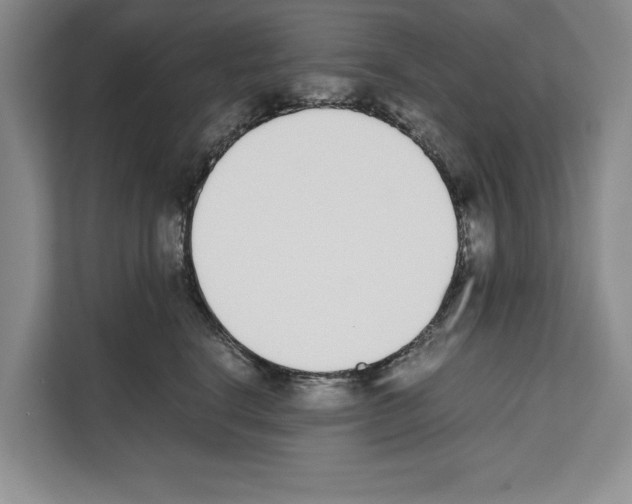 X0000111650664200908281050