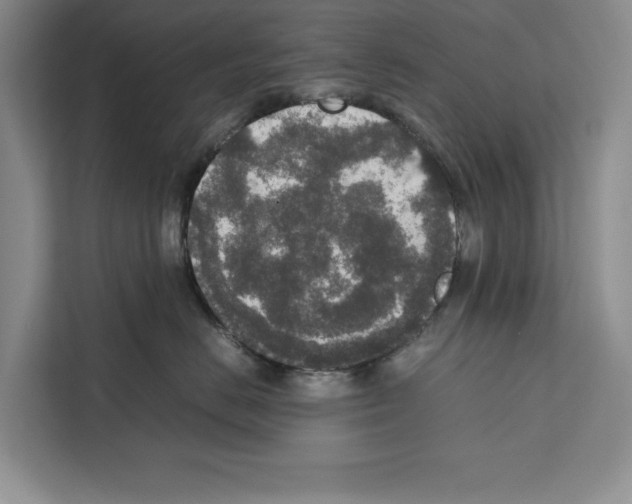 X0000111650670200908281050