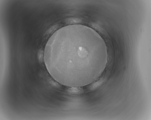X0000111650672200908281050