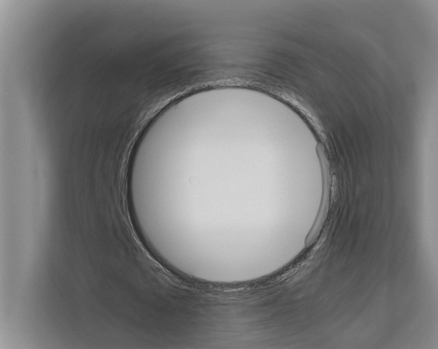 X0000111650673200908281050