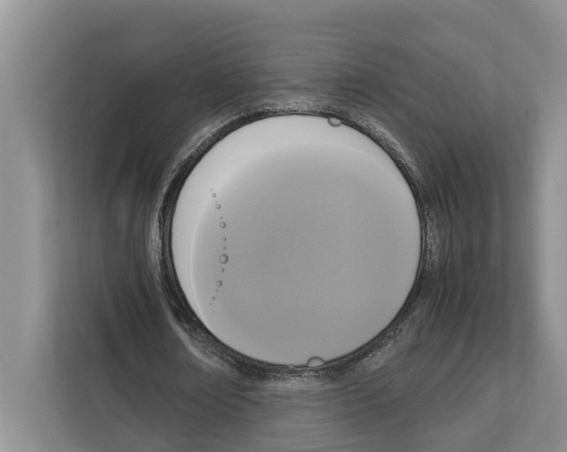 X0000111650674200908281050