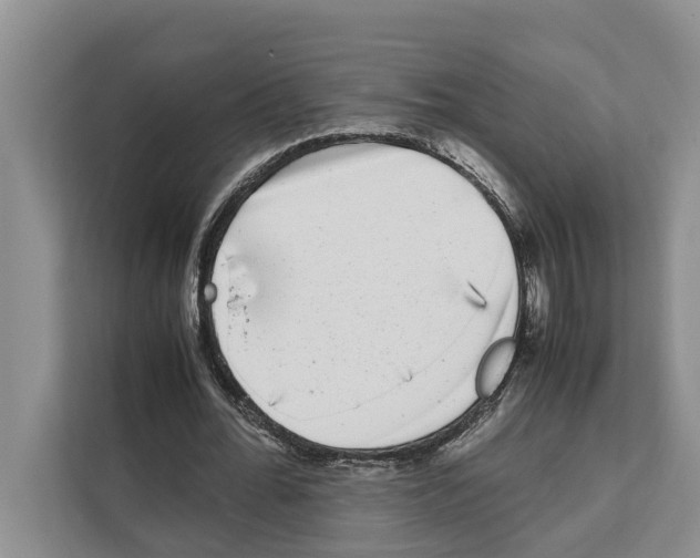 X0000111650676200908281050