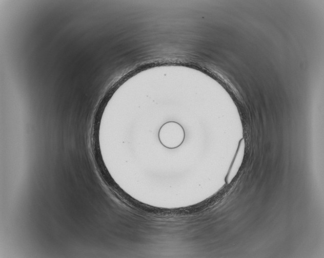 X0000111650677200908281050