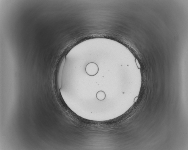 X0000111650681200908281050