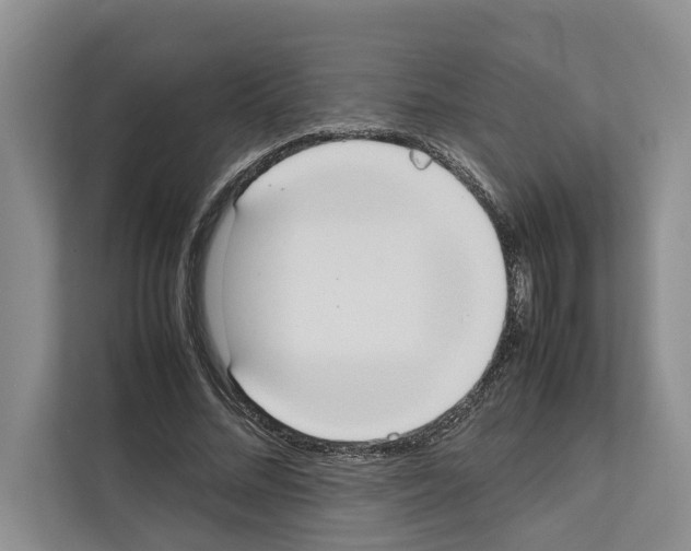 X0000111650684200908281049