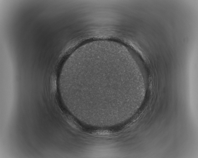 X0000111650685200908281049