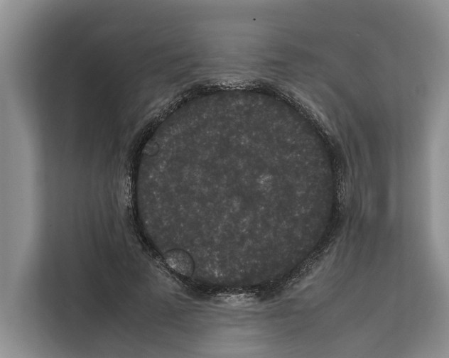 X0000111650689200908281049