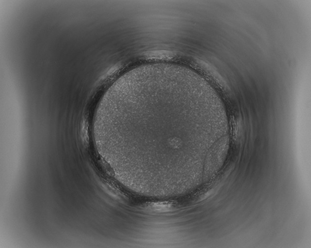 X0000111650692200908281049