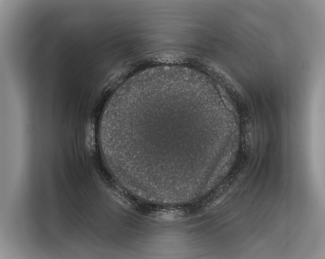 X0000111650696200908281049