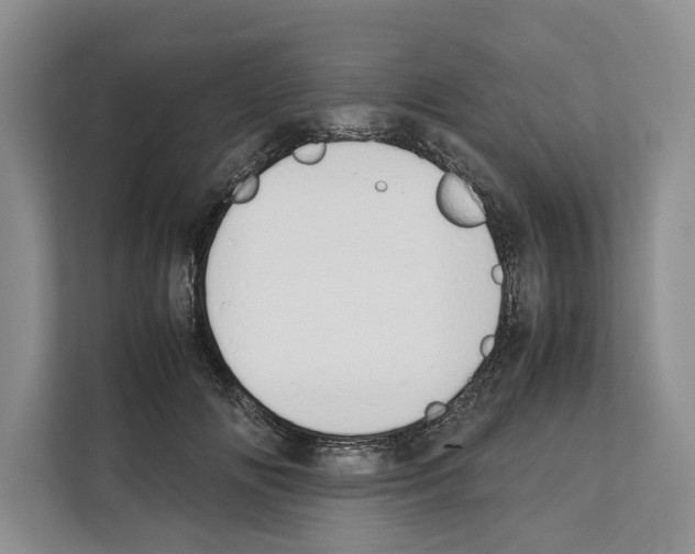 X0000111650702200908281049