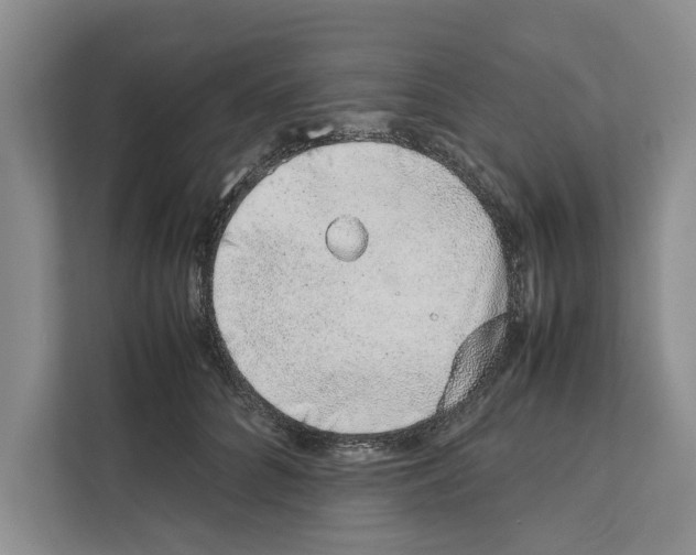 X0000111650704200908281049