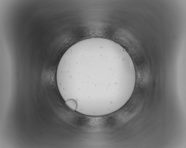 X0000111650705200908281049