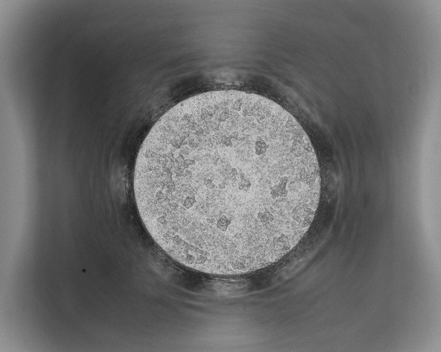 X0000111650707200908281049