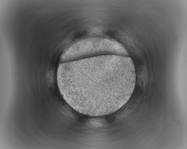 X0000111650708200908281049