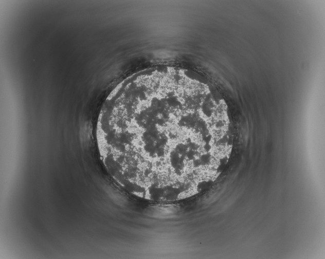 X0000111650711200908281049