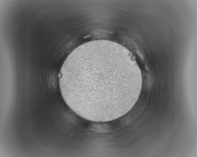 X0000111650712200908281049