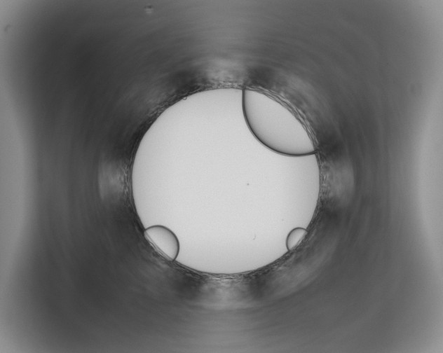 X0000111650713200908281049