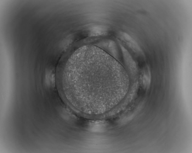 X0000111650716200908281049