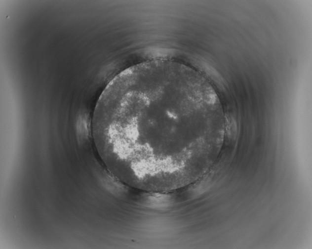 X0000111650718200908281049