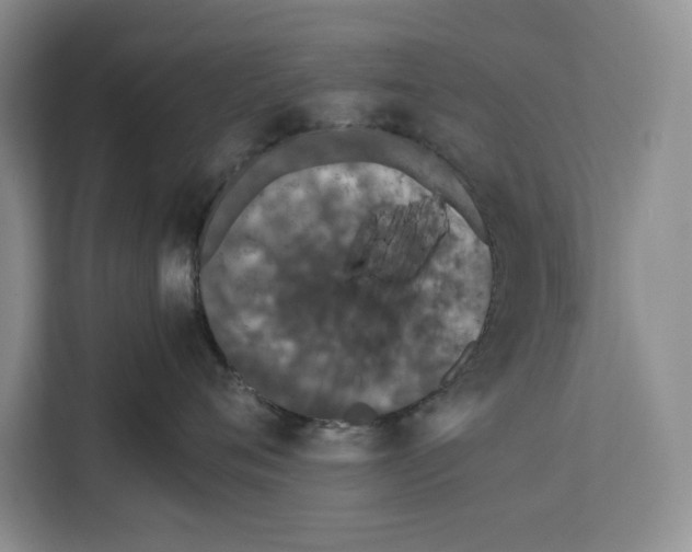 X0000111650720200908281049