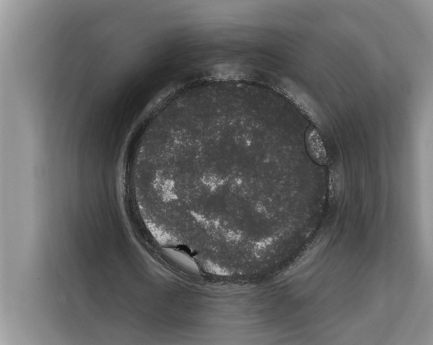 X0000111650722200908281048